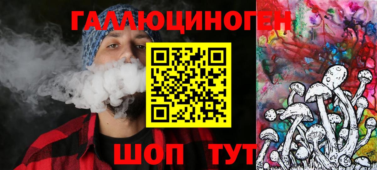 Великий Устюг  Псилоцибиновые грибы Cubensis  Вход с VPN 
