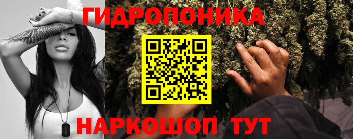 МЕФ Великий Устюг